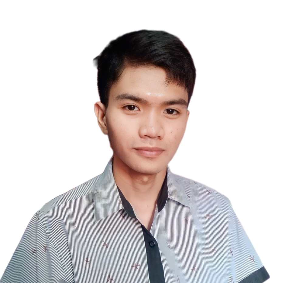 Technical Lead / Developer